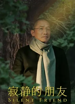 寂静的朋友